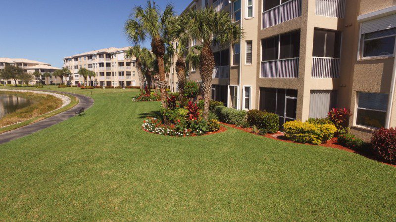Landscaped area with palm trees & condo.